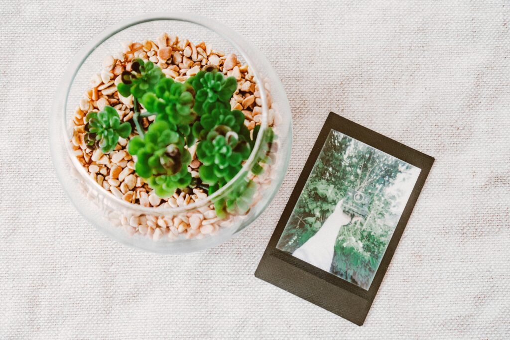 Overhead view of a succulent plant in a glass vase beside a vintage Polaroid photo on a textured surface.