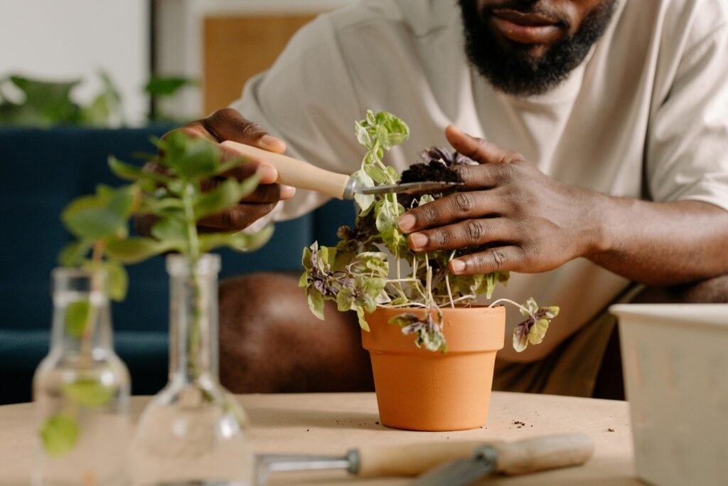 Close-up of a man gardening indoors with a clay pot and tools, focusing on plant care.